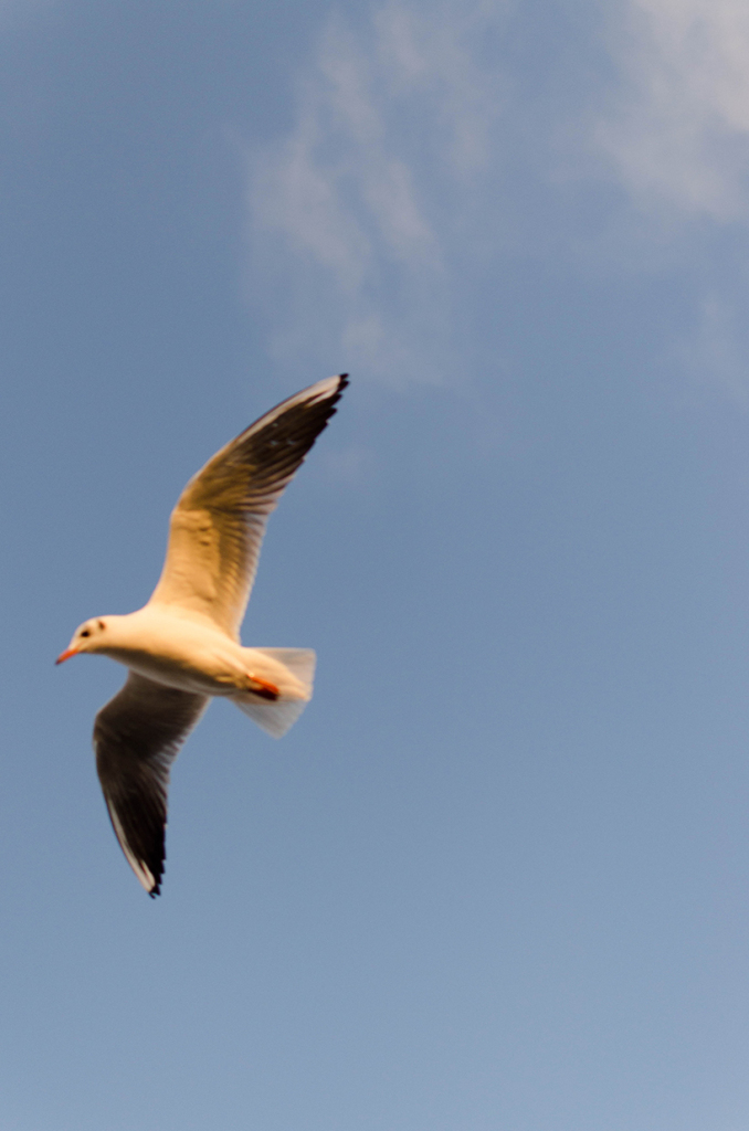 Fashiontamtam_Hamburg_Wintermantel_818_5